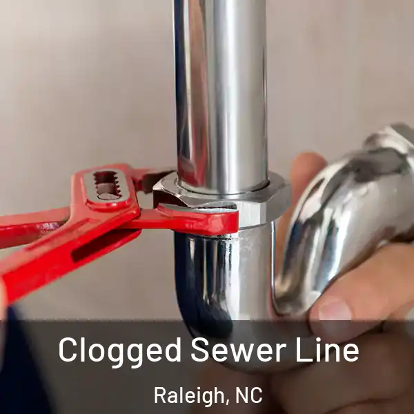  Clogged Sewer Line Raleigh, NC