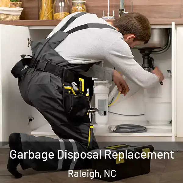  Garbage Disposal Replacement Raleigh, NC