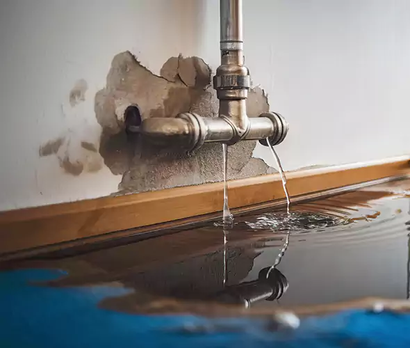 Professional Water Damage Restoration Experts in Raleigh, NC — Fast, Reliable & Certified