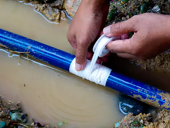  Why Choose Raleigh Plumbing Pro for Leak Detection in Raleigh, NC?]