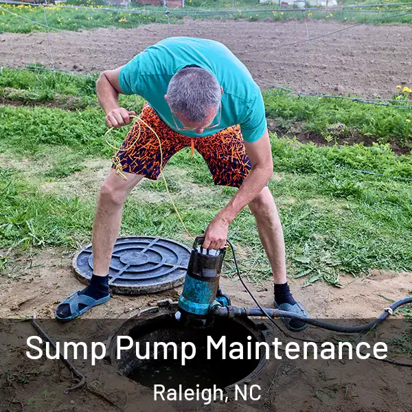  Sump Pump Maintenance Raleigh, NC
