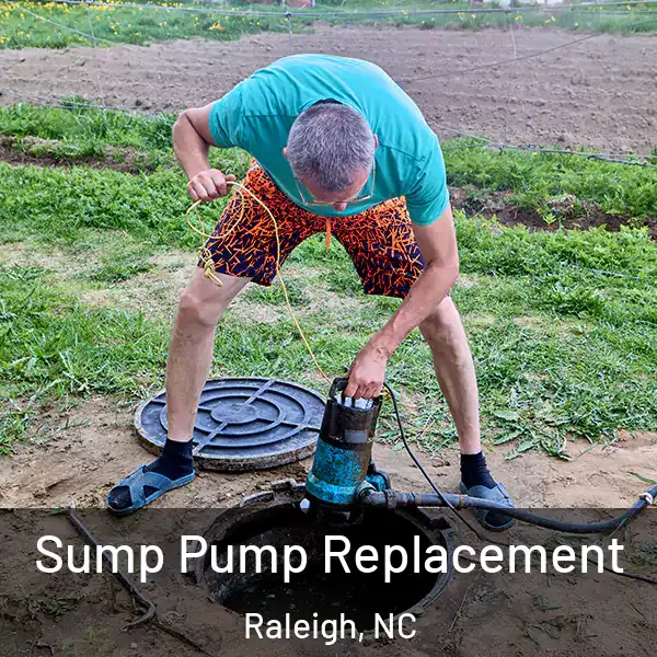  Sump Pump Replacement Raleigh, NC