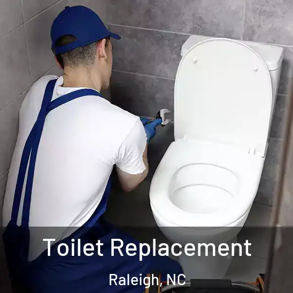  Toilet Replacement Raleigh, NC